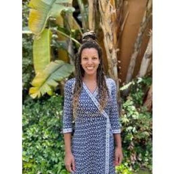 Talbots Plus Size 3X Faux Wrap Knee Length Dress Blue Geometric Print 3/4 Sleeve - Picture 2 of 10